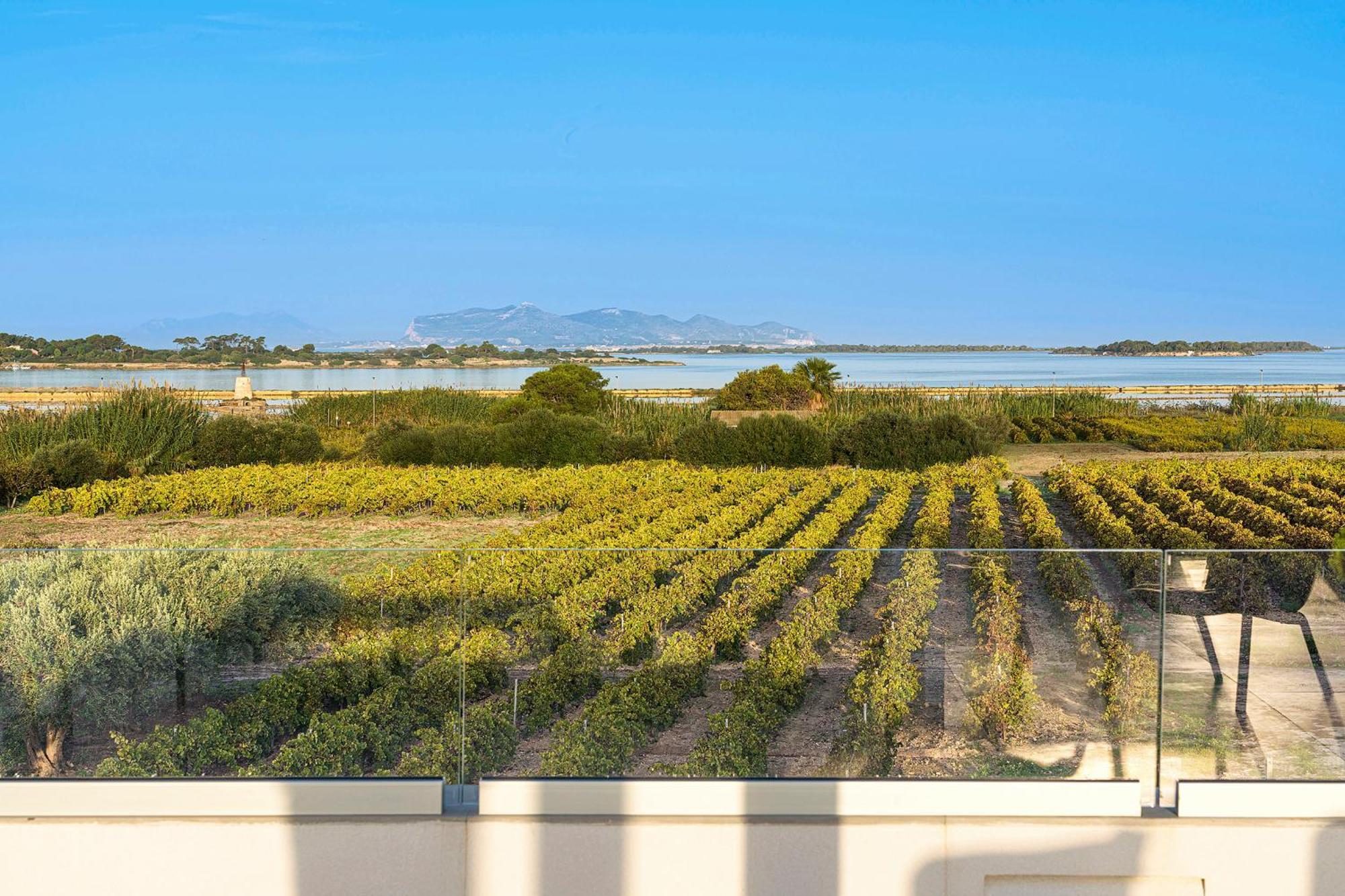 Martina's Vineyard Villa Marsala Dış mekan fotoğraf